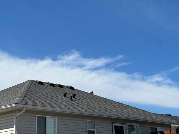 Best Hot Roofs  in Detroit Lakes, MN